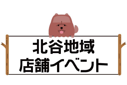 202211toyotaday