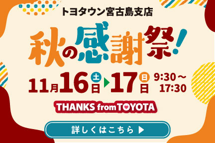 2024.11月 トヨタの日 | OKINAWA TOYOTA