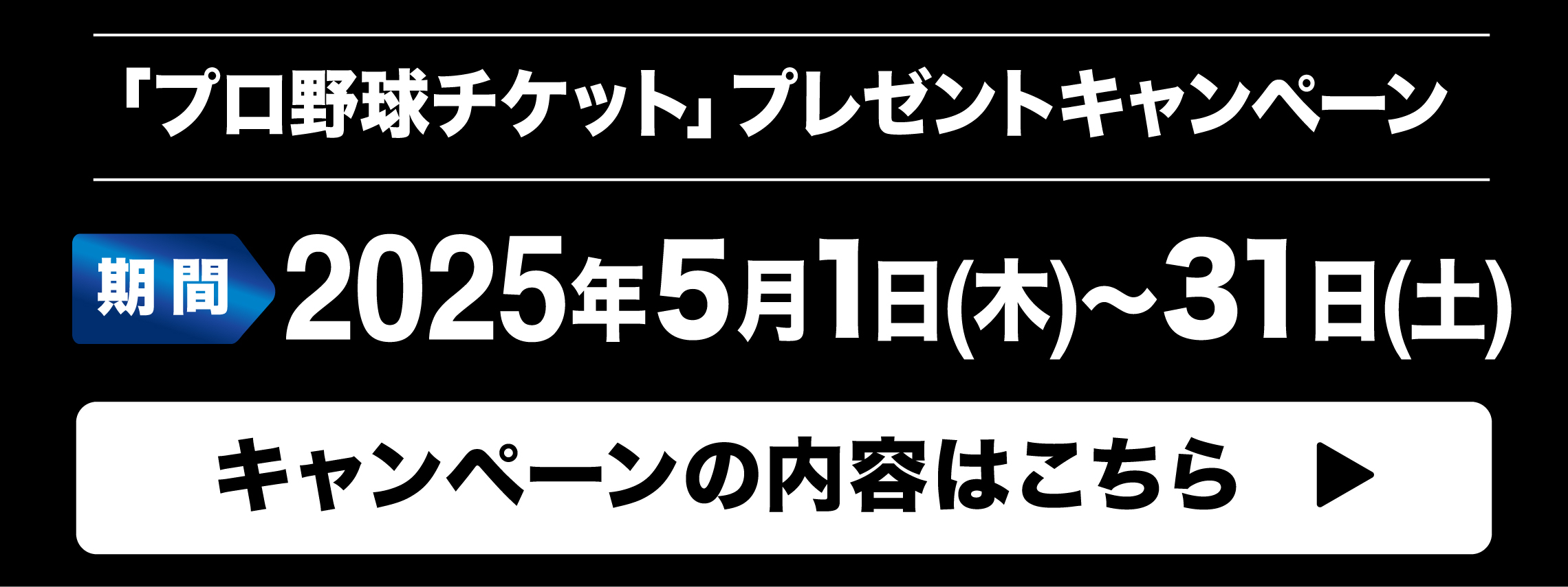 プロ野球チケットプレゼントキャンペーン　PC用